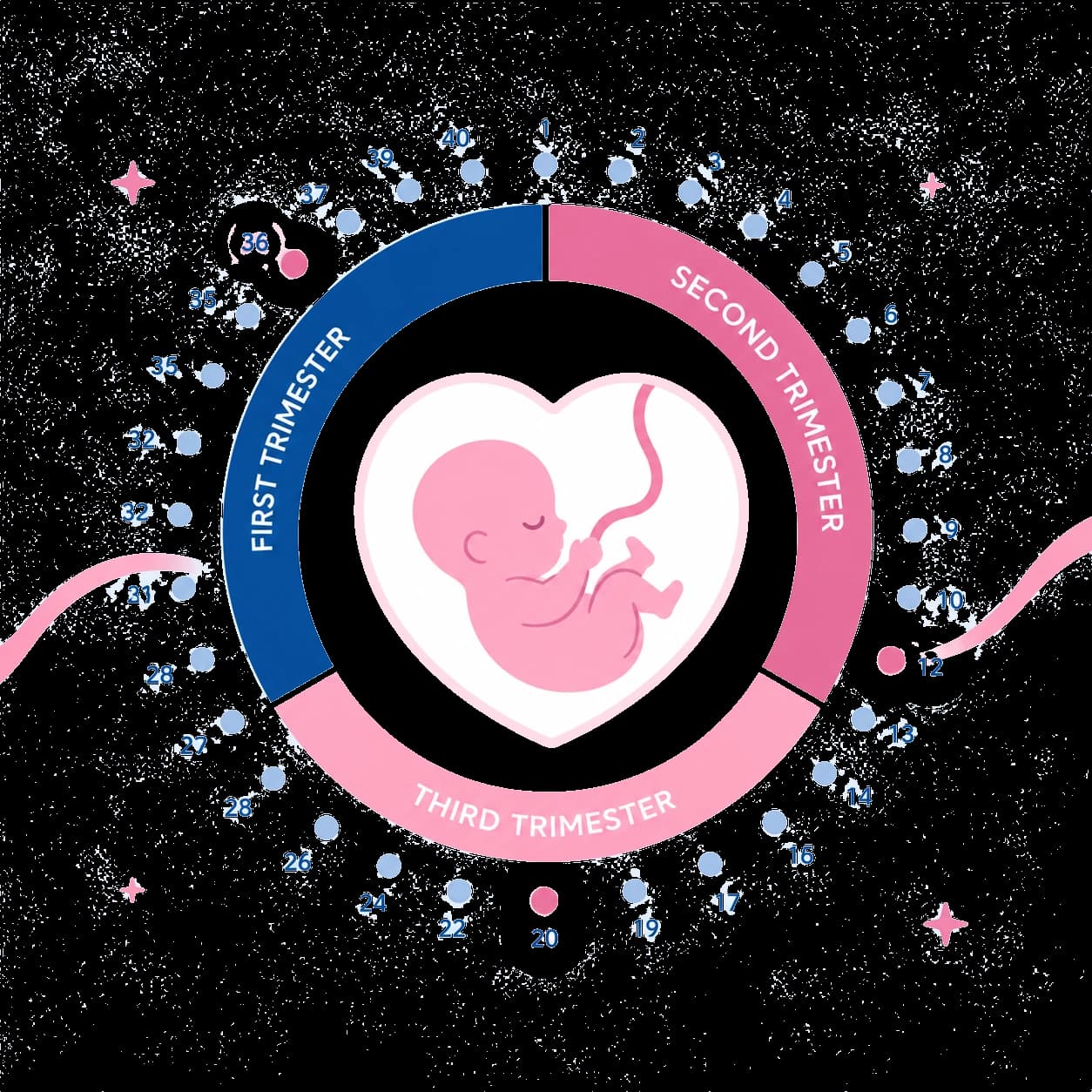 Pregnancy timeline ring with milestone markers
