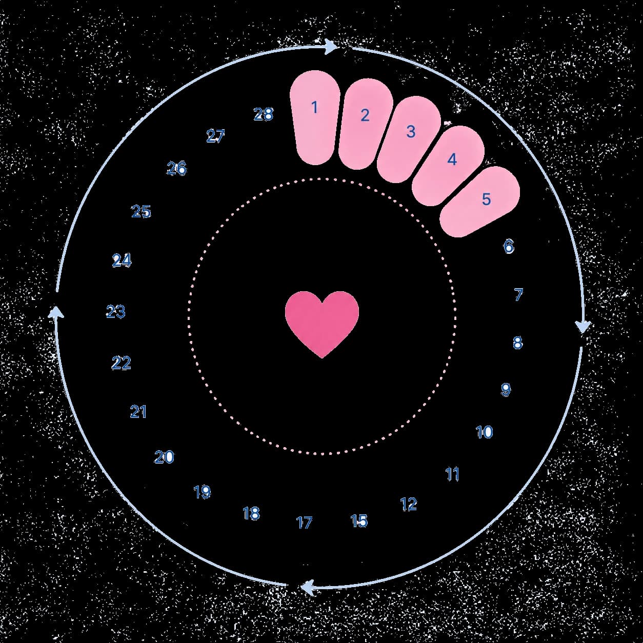 Cycle wheel showing the fertile window